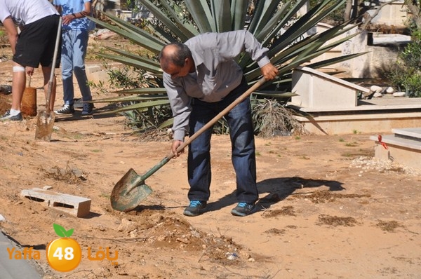 ashjar taso 0328 (22).JPG